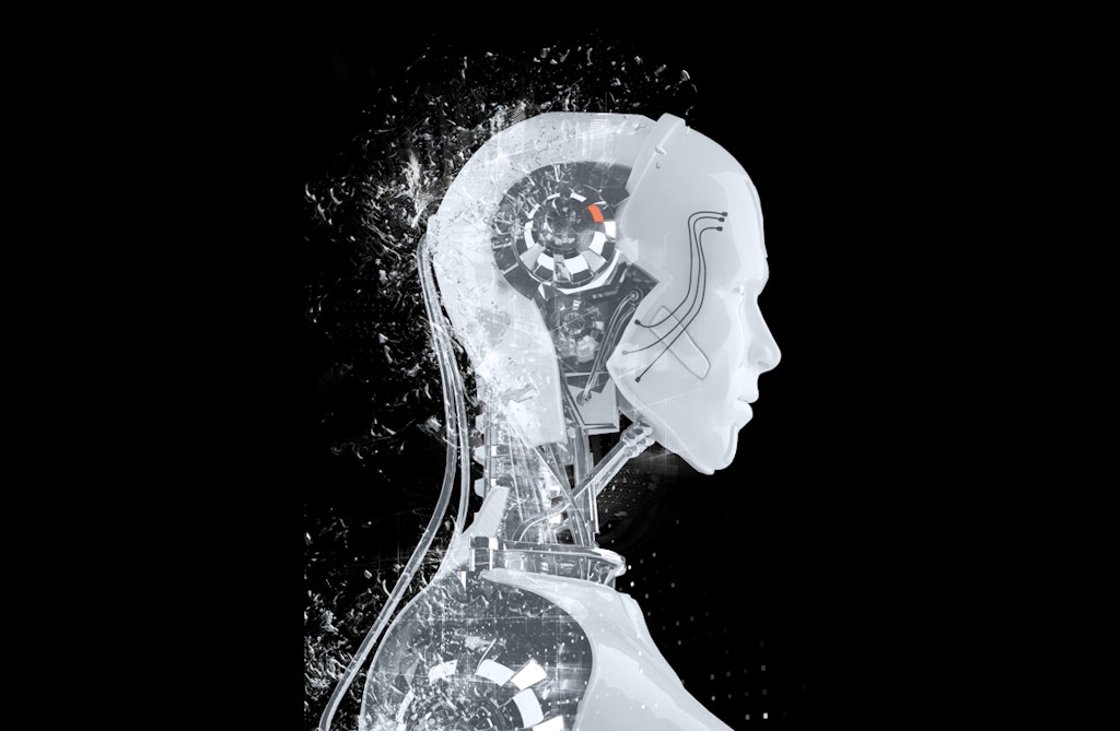 Exploring the Ongoing Debate: Is RISC-V Rigid or Flexible?